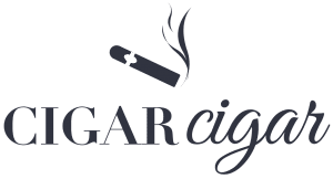 12 Best Cigars In The World Reviewed In [2024] | CigarCigar
