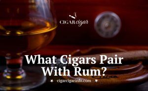 What Cigars Pair With Rum? - CigarCigar