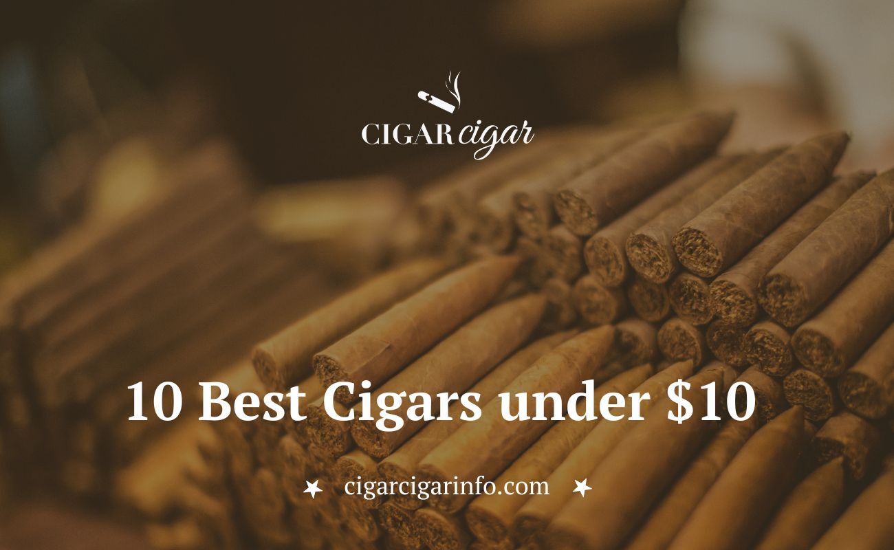 https://cdn-afmkk.nitrocdn.com/mDKqsaJDodxcVXQKyDPFijZOJJtoXikQ/assets/images/optimized/rev-2f2ad7c/cigarcigarinfo.com/wp-content/uploads/2023/10/Best-cigars-under-10-cigarcigar.jpg